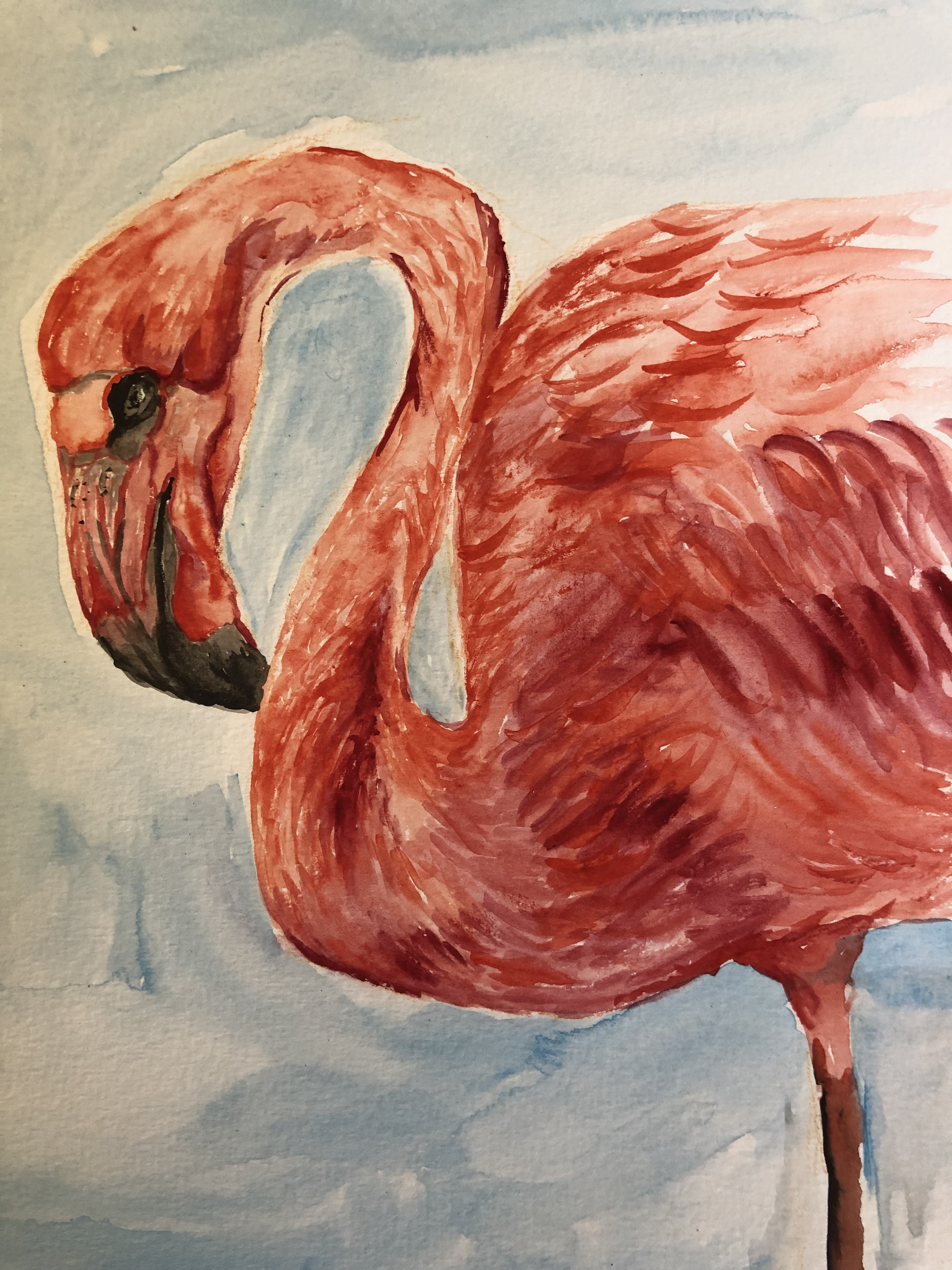watercolor painting of a flamingo